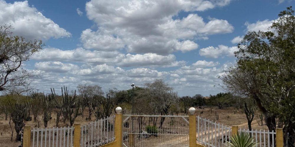 601170f9-9d3c-4a0c-a1a9-41bacf841135