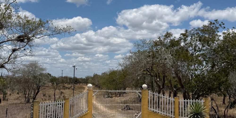 7ac0c313-d804-4daf-84b6-eee38f30e85c