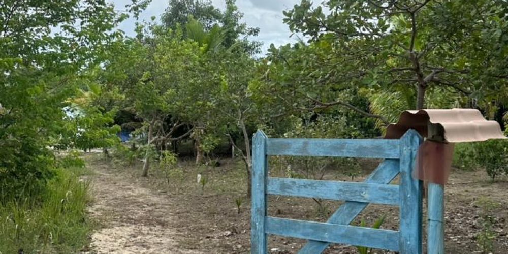 WhatsApp Image 2026-03-05 at 22.40.14