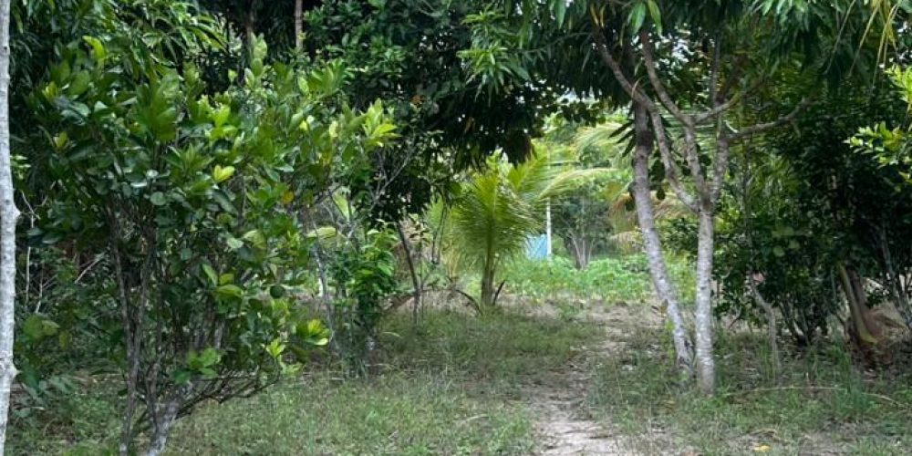 WhatsApp Image 2026-03-05 at 22.40.18