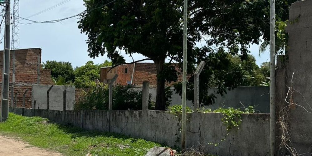 WhatsApp Image 2026-03-05 at 22.41.19