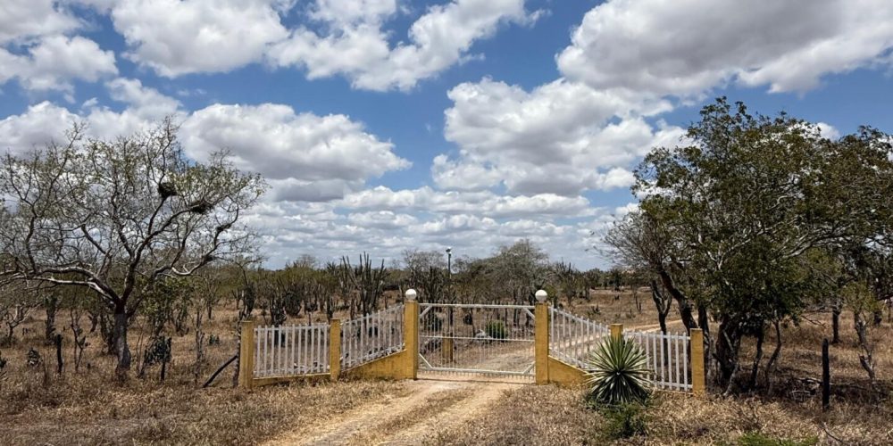 a7063cc9-1a1e-496c-8b87-2e766a9971b5