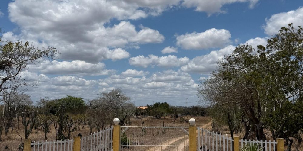 dd58f5ef-18a9-4eb6-84fd-af7bbb8452ba